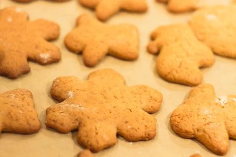 Ginger biscuits lie on a baking sheet. Cookies on baking paper. Selective foc Stock Photos