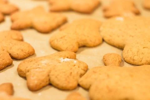 Ginger biscuits lie on a baking sheet. Cookies on baking paper. Stock Photos