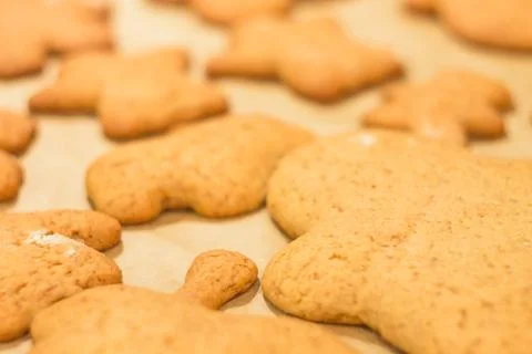 Ginger biscuits lie on a baking sheet. Cookies on baking paper. Stock Photos