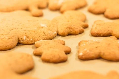 Ginger biscuits lie on a baking sheet. Cookies on baking paper. Stock Photos