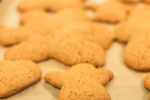 Ginger biscuits lie on a baking sheet. Cookies on baking paper. Stock Photos