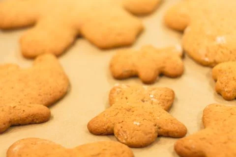 Ginger biscuits lie on a baking sheet. Cookies on baking paper. Stock Photos