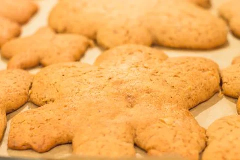 Ginger biscuits lie on a baking sheet. Cookies on baking paper. Stock Photos