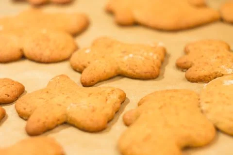 Ginger biscuits lie on a baking sheet. Cookies on baking paper. Stock Photos