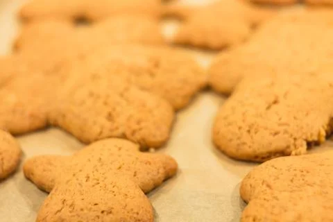 Ginger biscuits lie on a baking sheet. Cookies on baking paper. Stock Photos