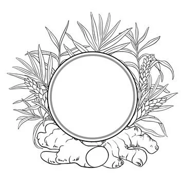 Ginger Branch Outline Round Frame. Illustrazione stock