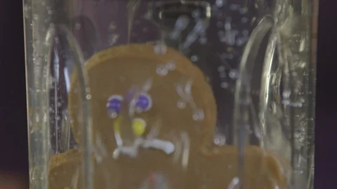 Ginger Bread Man In Blender 스톡 동영상 105331976