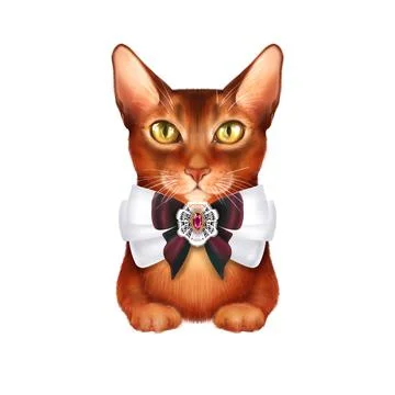 Ginger cat, isolated on white Stock Illustration