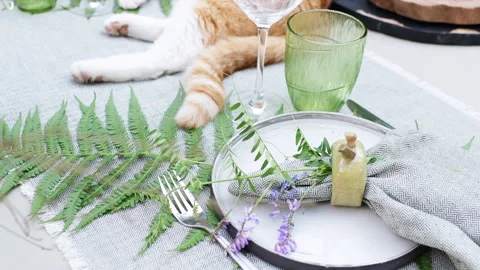 A ginger cat lies on the garden table in summer Video stock 278601797