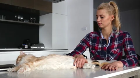 Ginger cat is lying on the table. Girl is reading a book and stroking the cat Stock Footage 62021366