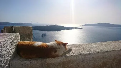 A ginger cat peacefully naps on a stone wall overlooking the iconic Santorini Stock Photos