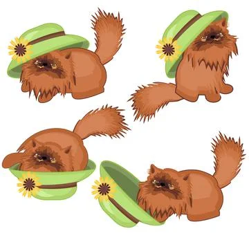 Ginger cat playing with hat Stock Illustration