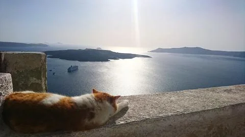 A ginger cat relaxes on a stone wall overlooking the iconic Santorini caldera Stock Photos