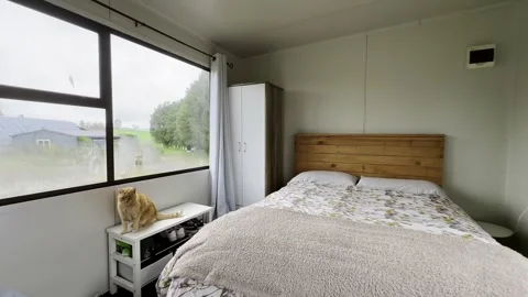 Ginger cat relaxing in tiny house bedroom Stock Footage 305550221