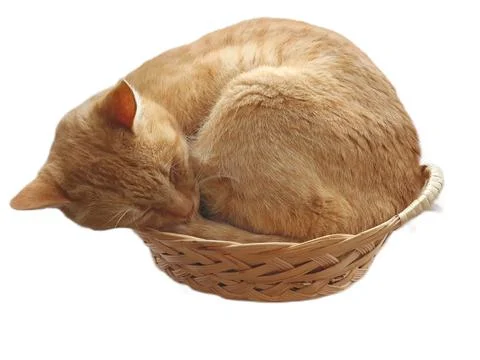 Ginger cat sleeping in basket Stock Photos