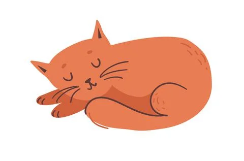 The ginger cat is sleeping Stock Illustration