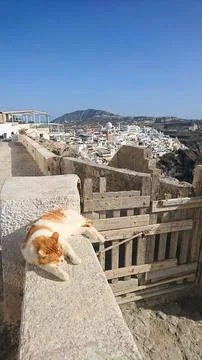 A ginger cat sleeping on a stone wall overlooking the iconic white village of Stock Photos