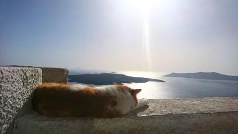 Ginger cat sleeping on a wall overlooking the Santorini caldera and Aegean Sea Stock Photos