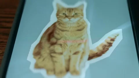 Ginger cat with waving tail, presentation Stock Footage 310054637