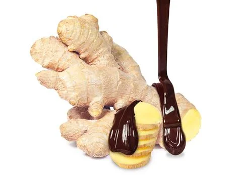 Ginger with chocolate Stock Photos