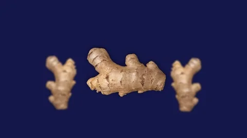 Ginger Close-up Chroma Stock Footage 232127996