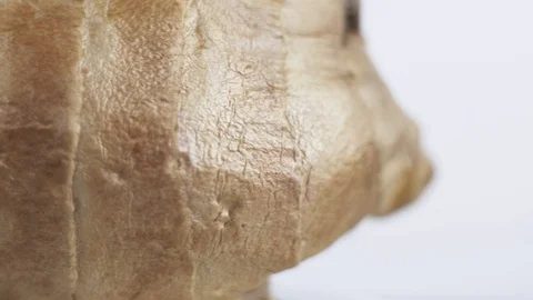 Ginger close-up. Fresh and spicy food that is good for the body, and an extra Stock Footage 106863085
