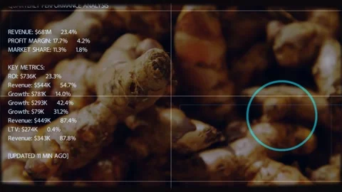 Ginger cluster getting HUD overlay with guides fading in, showing profit margins Stock Footage 333903259