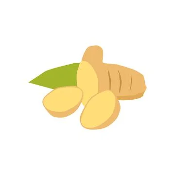 Ginger cut pieces vector illustration isolated on white background Stock Illustration