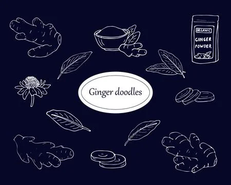 Ginger doodle set Stock Illustration