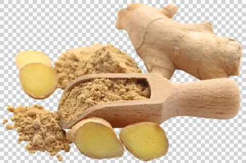 Ginger with dried powder Stock Photos