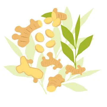 Ginger elements abstract vector design background Stock Illustration