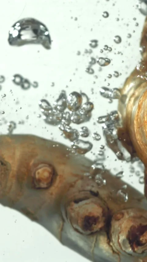 Ginger falling underwater on a white background. Filmed on a high-speed camera Stock Footage 335368641