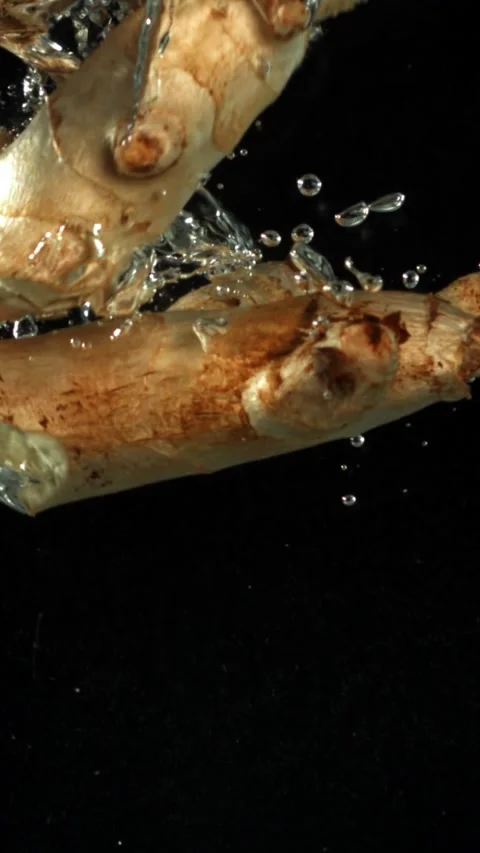 Ginger falls under the water. Filmed on a high-speed camera at 1000 fps Stock Footage 335364336