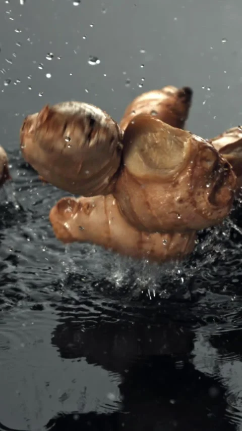 Ginger falls on a wet surface. Filmed on a high-speed camera at 1000 fps Stock Footage 335364307
