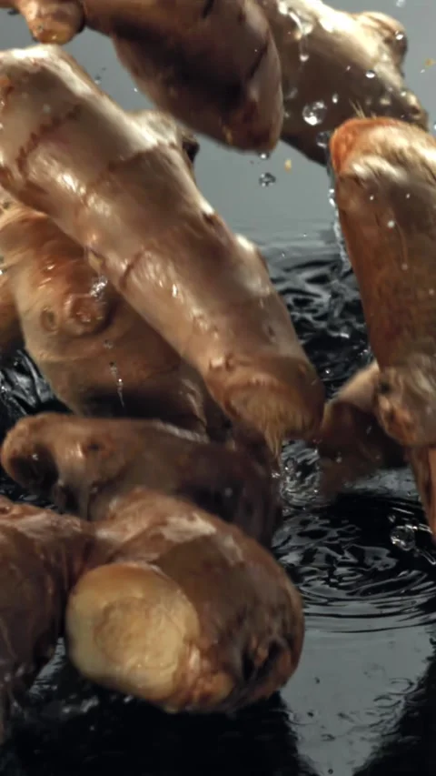 Ginger falls on a wet surface. Filmed on a high-speed camera at 1000 fps Stock Footage 335365528