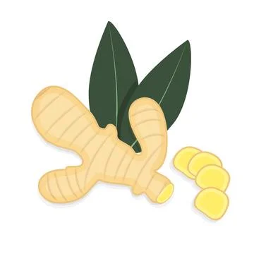 Ginger Flat illustration isolated on white background Sliced ginger root,leaves Stock Illustration