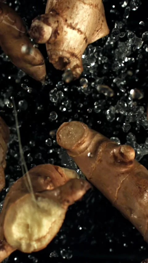 Ginger flies up and falls down on a black background. Filmed on a high-speed Stock Footage 335381875
