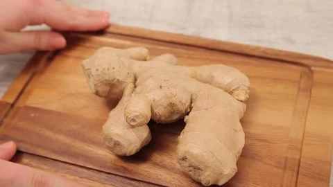 GINGER Stock Footage 155411772