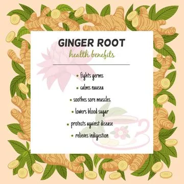 Ginger frame. Boosting immunity, edible plant root for spices, ale and tea Stock Illustration