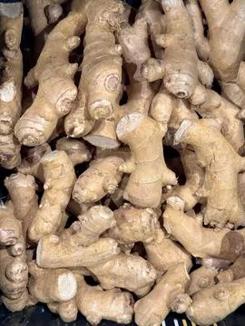 Ginger fresh and ground Root Closeup – Natural Herbal Ingredient Stock Photos