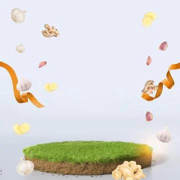 Ginger-garlic Stock Illustration