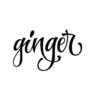 Ginger - hand drawn spice label. Isolated calligraphy script style word. Stock Illustration