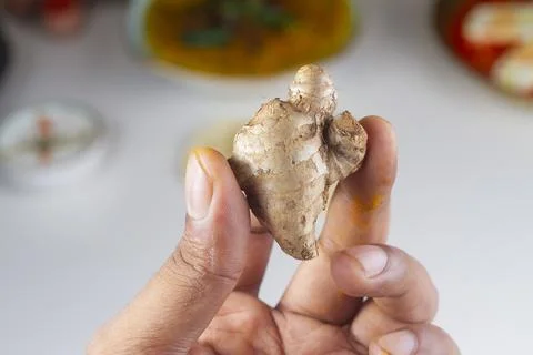 Ginger in hand isolated on light background. Stock Photos