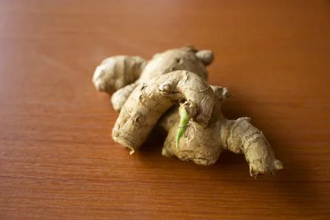 Ginger herbal plant. placed on a brown table Stock Photos