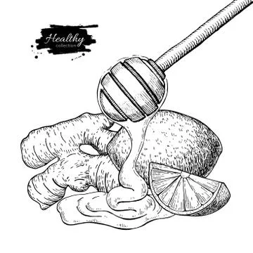Ginger, honey and lemon vector drawing. Wooden spoon, honey drop Stock Illustration