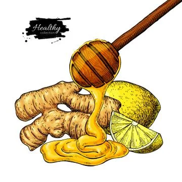 Ginger, honey and lemon vector drawing. Wooden spoon, honey drop, root and fruit Stock Illustration