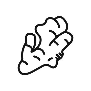 Ginger icon linear vector graphics sign Stockillustratie