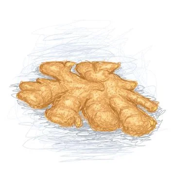 Ginger Stock Illustration