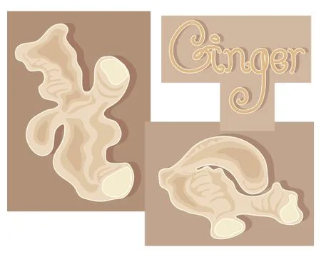 Ginger Stock Illustration