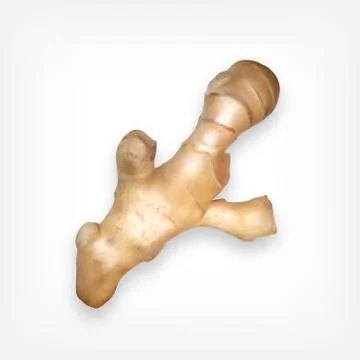 Ginger Stock Illustration